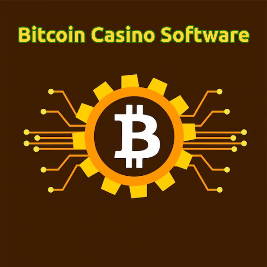 Bitcoin Casino Software
